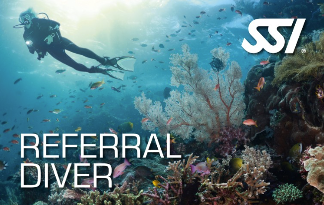SSI - Referral Diver
