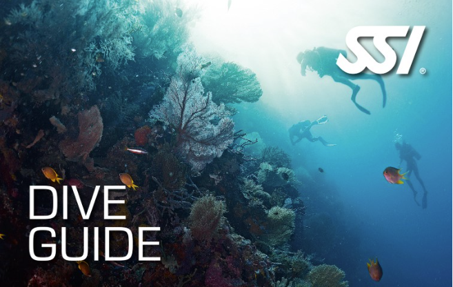 SSI - Dive Guide