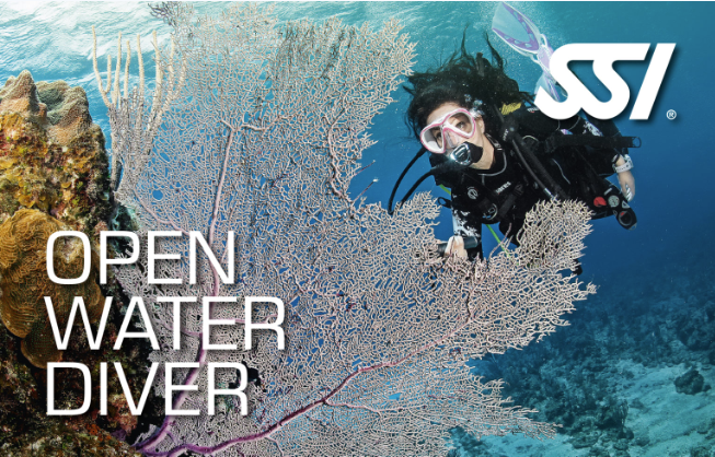 SSI - Open Water Diver