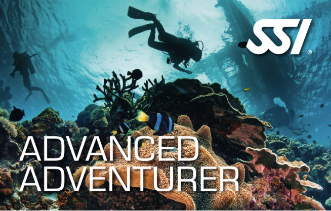 SSI - Advanced Adventurer