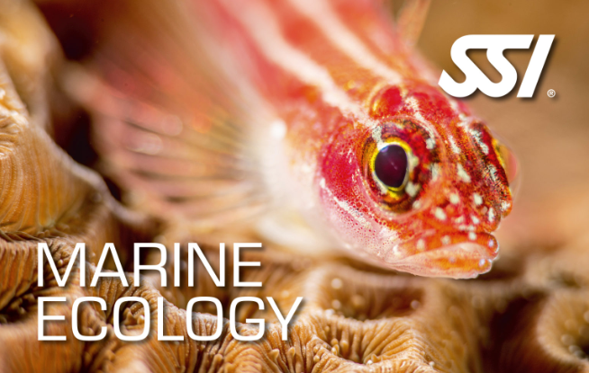 SSI - Marine Ecology