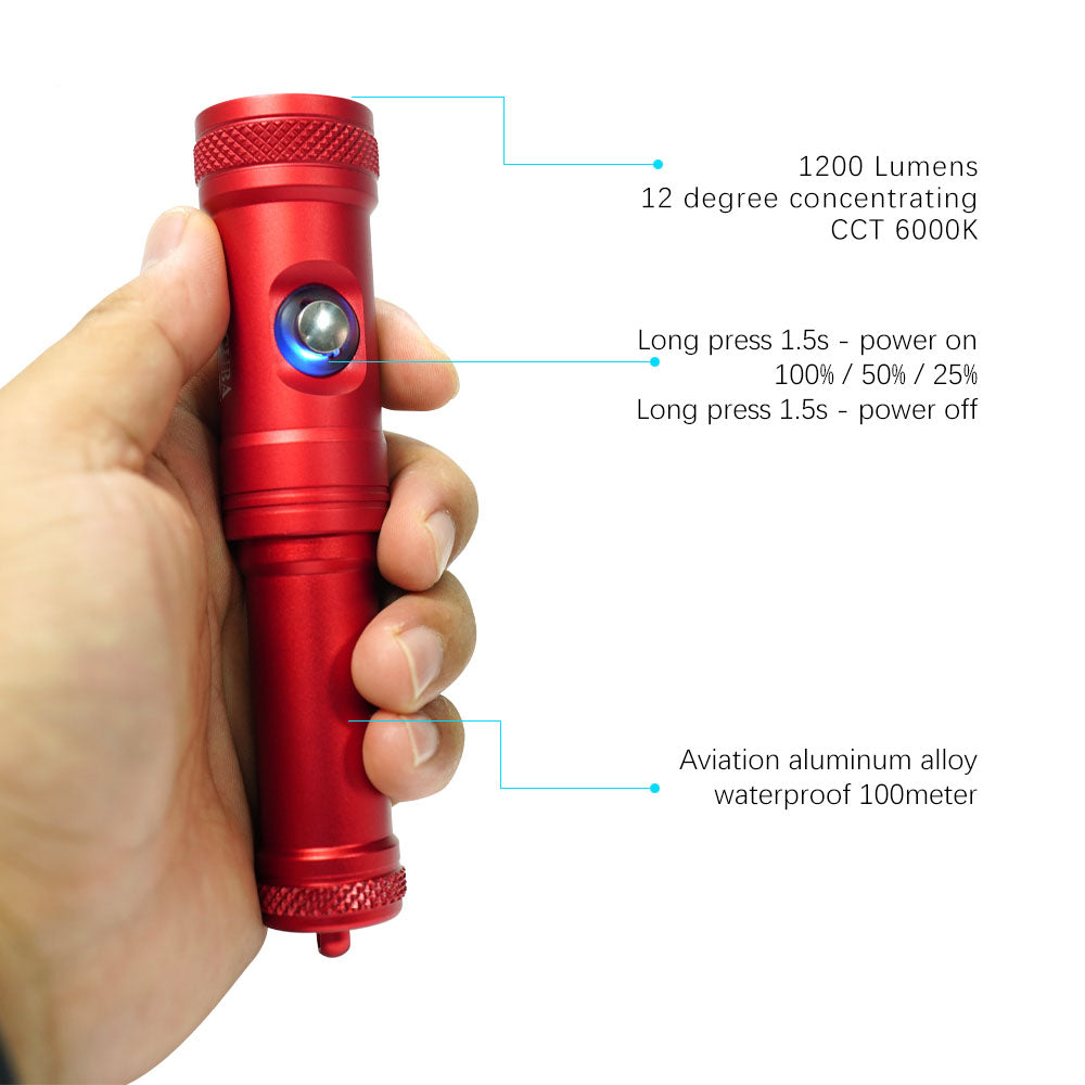 Dive Torch - DT12