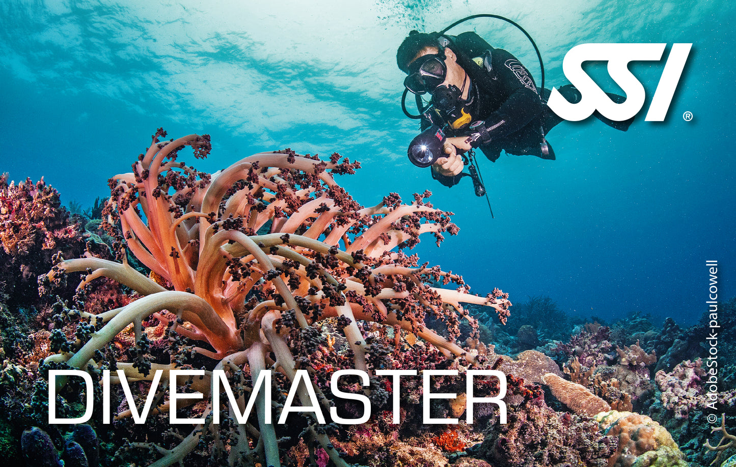 SSI – Divemaster 🌊👨‍🏫