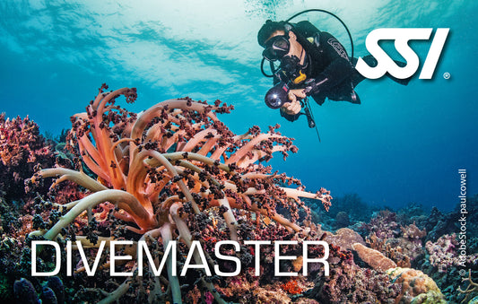 SSI – Divemaster 🌊👨‍🏫