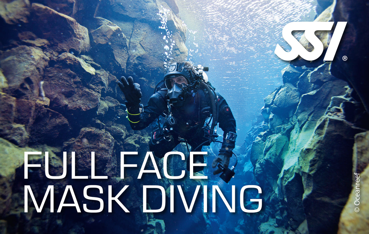SSI - Full Face Mask