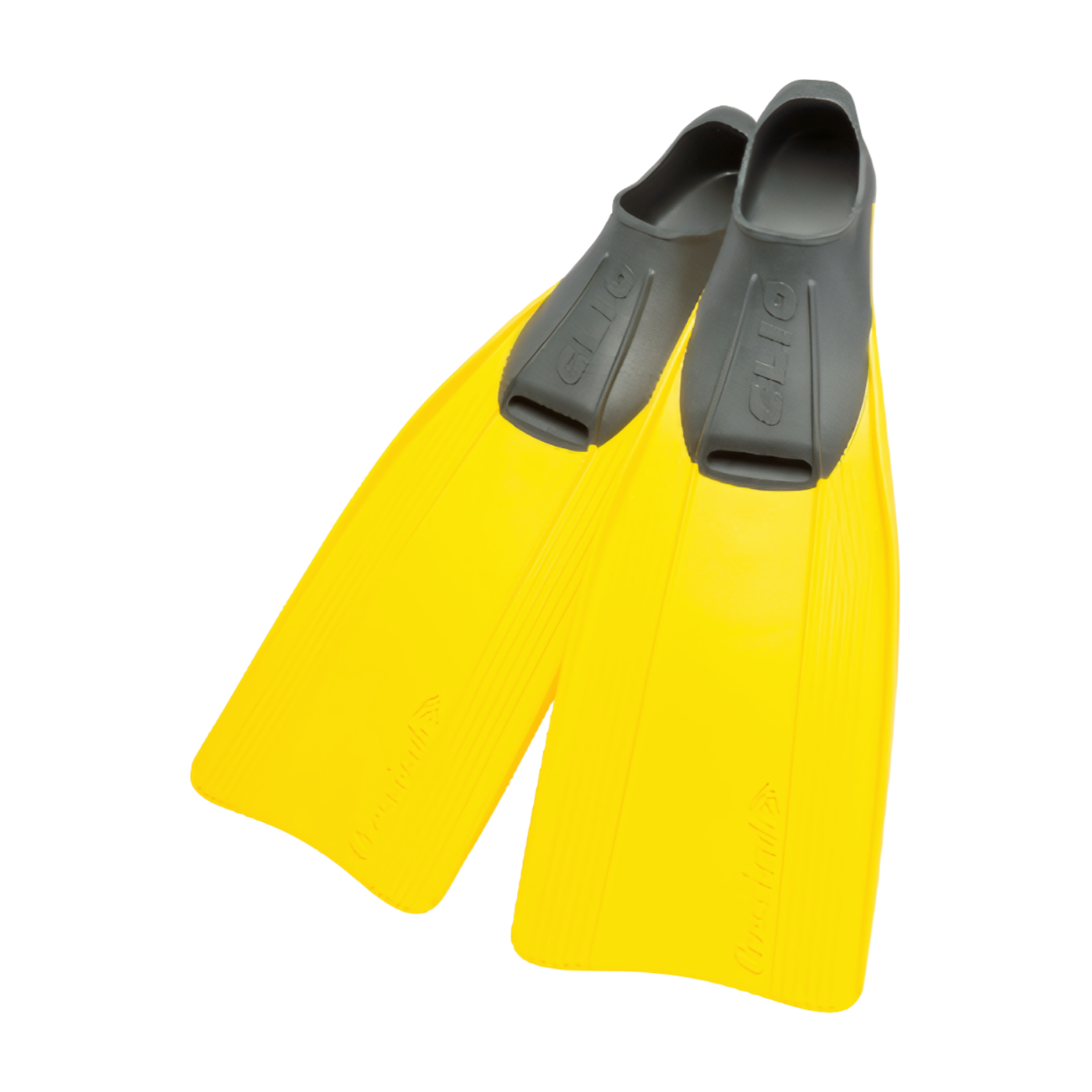 Cressi – Clio Fins