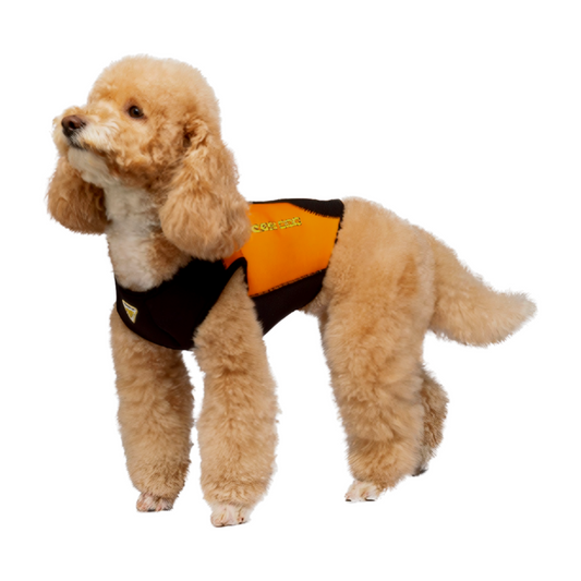 Cressi - DWS Dog Wetsuit